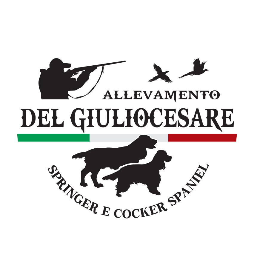 logo-allevamento-cocker-springer-spaniel-del-giuliocesare logo allevamento cocker springer spaniel del giuliocesare