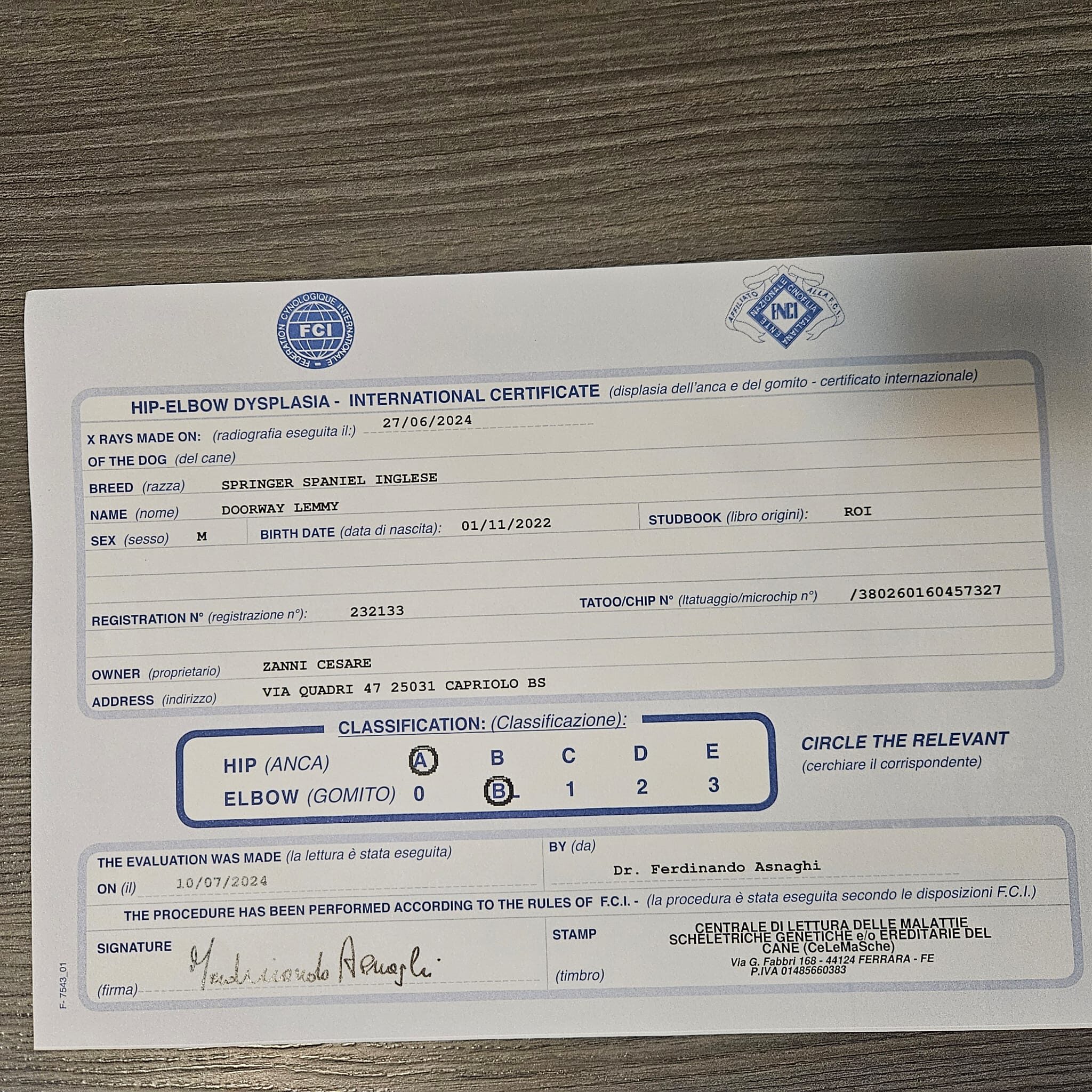 Certificato Lemmy pedigree dorway lemmy